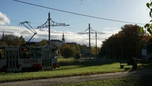 Getting from Tallinn Airport to City Centre: All Your Transport Options