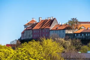 Google Translate in Estonia: How Useful is it for Tourists?