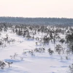 Hiiumaa Island: Estonia’s Best Kept Secret for Nature Lovers