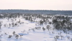 Hiiumaa Island: Estonia’s Best Kept Secret for Nature Lovers