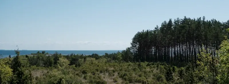 Island Hopping in Estonia: Your August 2026 Guide to a Late Summer Escape