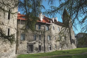 Living in Estonia as a Foreigner: Essential Tips for Digital Nomads