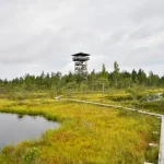 Otepää in Summer: Estonia’s Lake District &amp; Adventure Sports Hub