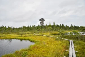 Otepää in Summer: Estonia’s Lake District &amp; Adventure Sports Hub