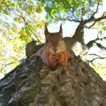 Otepää in Summer: Your Guide to Estonia’s Lake District Adventures