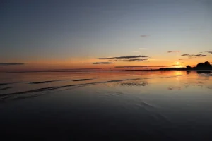 Pärnu’s Best Bars: Top Spots for Drinks and Fun