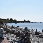 Saaremaa Ferry Travel: Essential Tips for a Smooth Journey