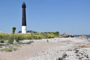The Ultimate Saaremaa Day Trip Itinerary from Tallinn