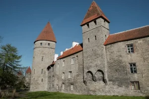 Uncover Hiiumaa: Estonia’s Best Kept Island Secret for Nature Lovers