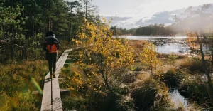 What Souvenirs Should You Buy in Haapsalu?