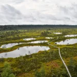 What to Expect in an Estonian Sauna: Rules and Rituals