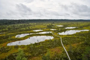 What to Expect in an Estonian Sauna: Rules and Rituals