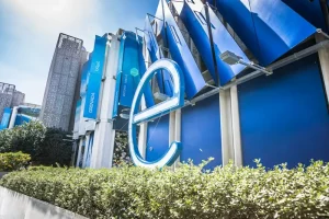 Wise vs. Revolut in Estonia: Which Travel Money Card Wins for Your Trip?