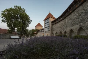 Best Time to Visit Tallinn: Weather, Crowds &amp; Events Through the Seasons