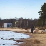 Driving in Lahemaa: Essential Tips for Road Trippers in Estonia