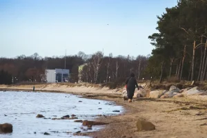 Driving in Lahemaa: Essential Tips for Road Trippers in Estonia