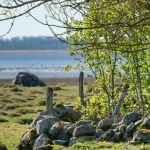 Estonia’s Museums: Your September 2026 Guide to Culture and History