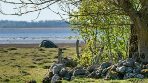 Estonia’s Museums: Your September 2026 Guide to Culture and History