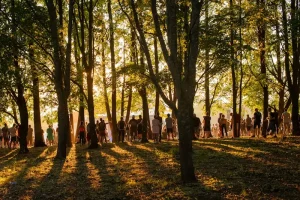 Local Secrets: Experiencing Authentic Estonian Culture Away From the Crowds