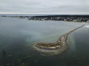 Otepää in Summer: Your Guide to Estonia’s Green Heart of Adventure