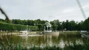 Savoring Estonia’s Autumn Harvest: A September 2026 Culinary Guide