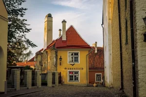 Taste Saaremaa: Must-Try Local Food &amp; Restaurants on Estonia’s Largest Island