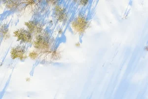 Experience Kihnu: Estonia’s Last Vestige of a Vanishing Culture