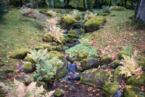 Experiencing Tallinn’s Old Town in October 2026: Autumn Ambiance