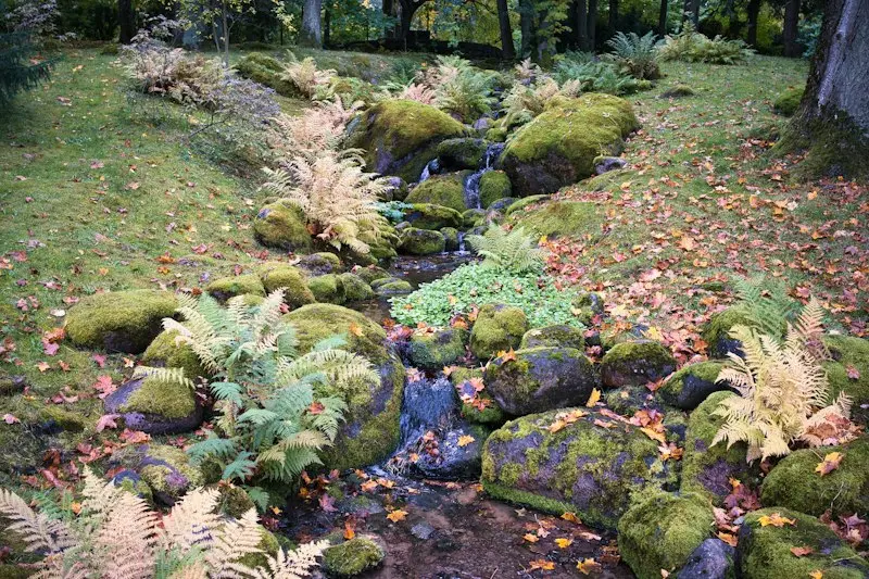 Experiencing Tallinn’s Old Town in October 2026: Autumn Ambiance