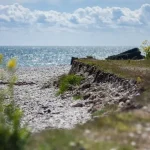 Exploring Saaremaa’s Vibrant Markets: A Shopper’s Paradise