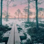 Muhu Island: Estonia’s Idyllic Escape with Traditional Charm