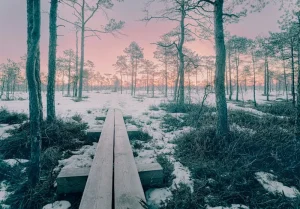 Muhu Island: Estonia’s Idyllic Escape with Traditional Charm