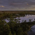 Seto Cuisine: A Culinary Journey Through Estonia’s Indigenous Flavors