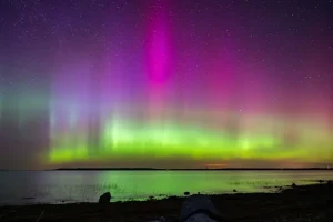 Your Saaremaa Evening Itinerary: From Sunset Drinks to Late-Night Fun